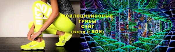 соль курить ск Рославль