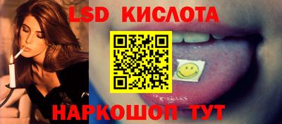 шишки Обь