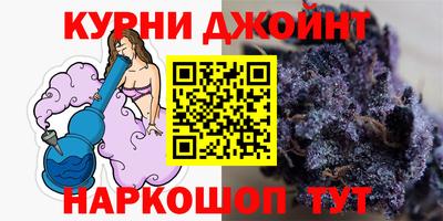 шишки Обь